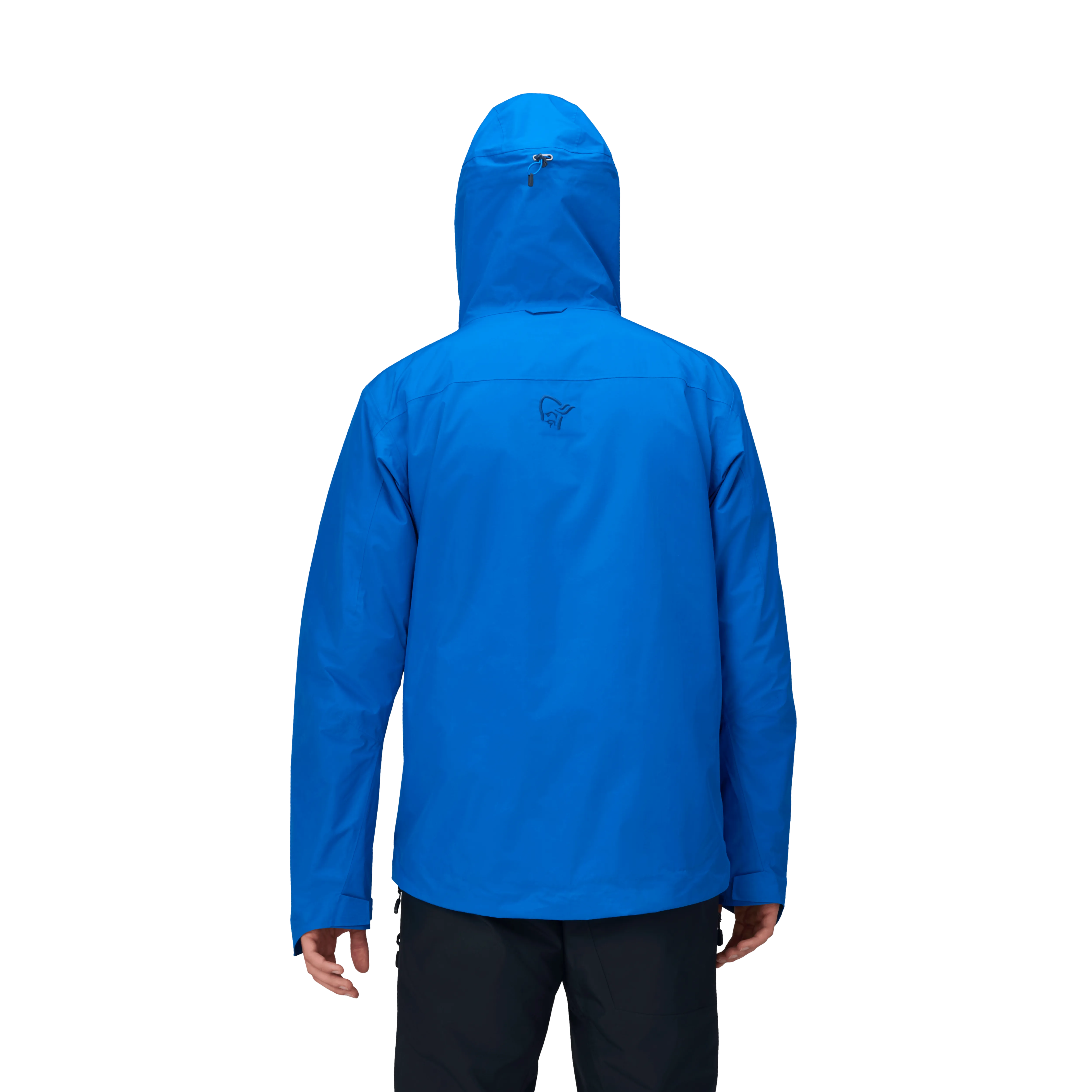 Lofoten GTX Insulated Jacket - Men's