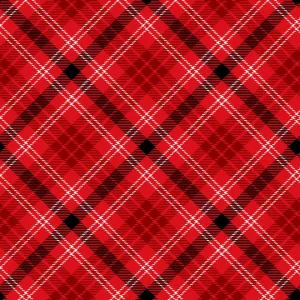 Snow Crew | Red Bias Large Plaid by Barb Tourtillotte for Henry Glass | 1285-88